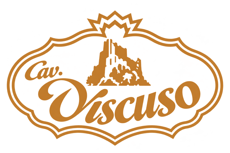 Bar Viscuso logo